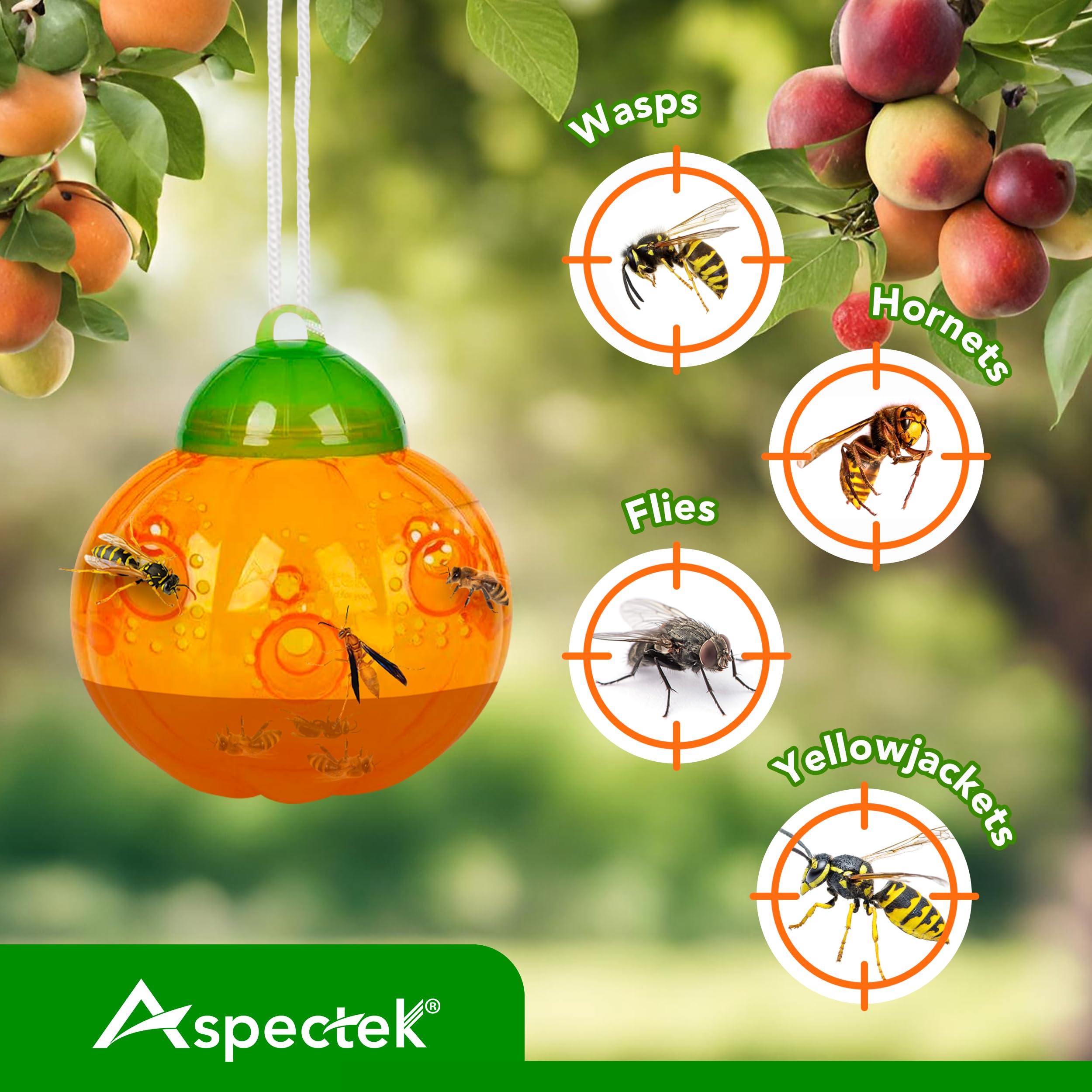Amazon.com : ASPECTEK Wasp Trap Pumpkin Design - Pack of 2